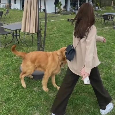 黑暗的教训